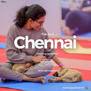 puppy yoga pawga chennai blue cross of India