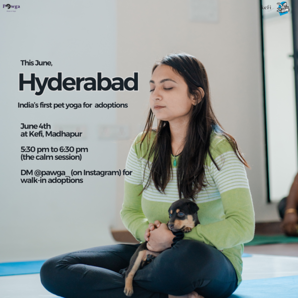 Kefi Hyderabad Puppy yoga Pawga