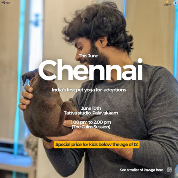 puppy yoga Chennai june tattva palavakkam
