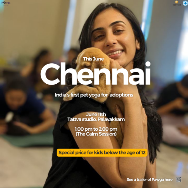 puppy yoga Chennai june tattva palavakkam