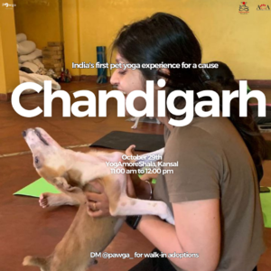 Chandigarh puppy yoga pawga