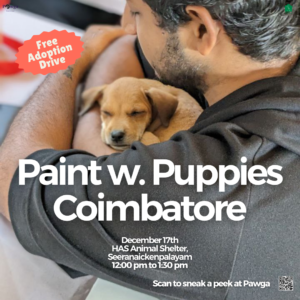 pawga paint with puppies coimbatore