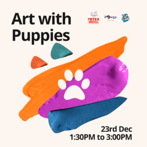 paint with puppies pawga hyderabad