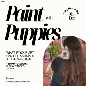 paint with puppies goa pawga