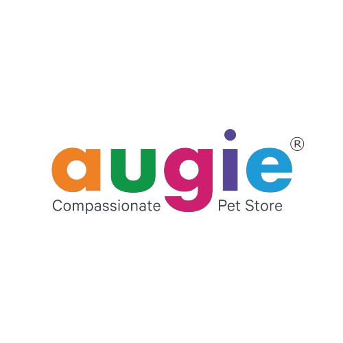 augie-removebg-preview