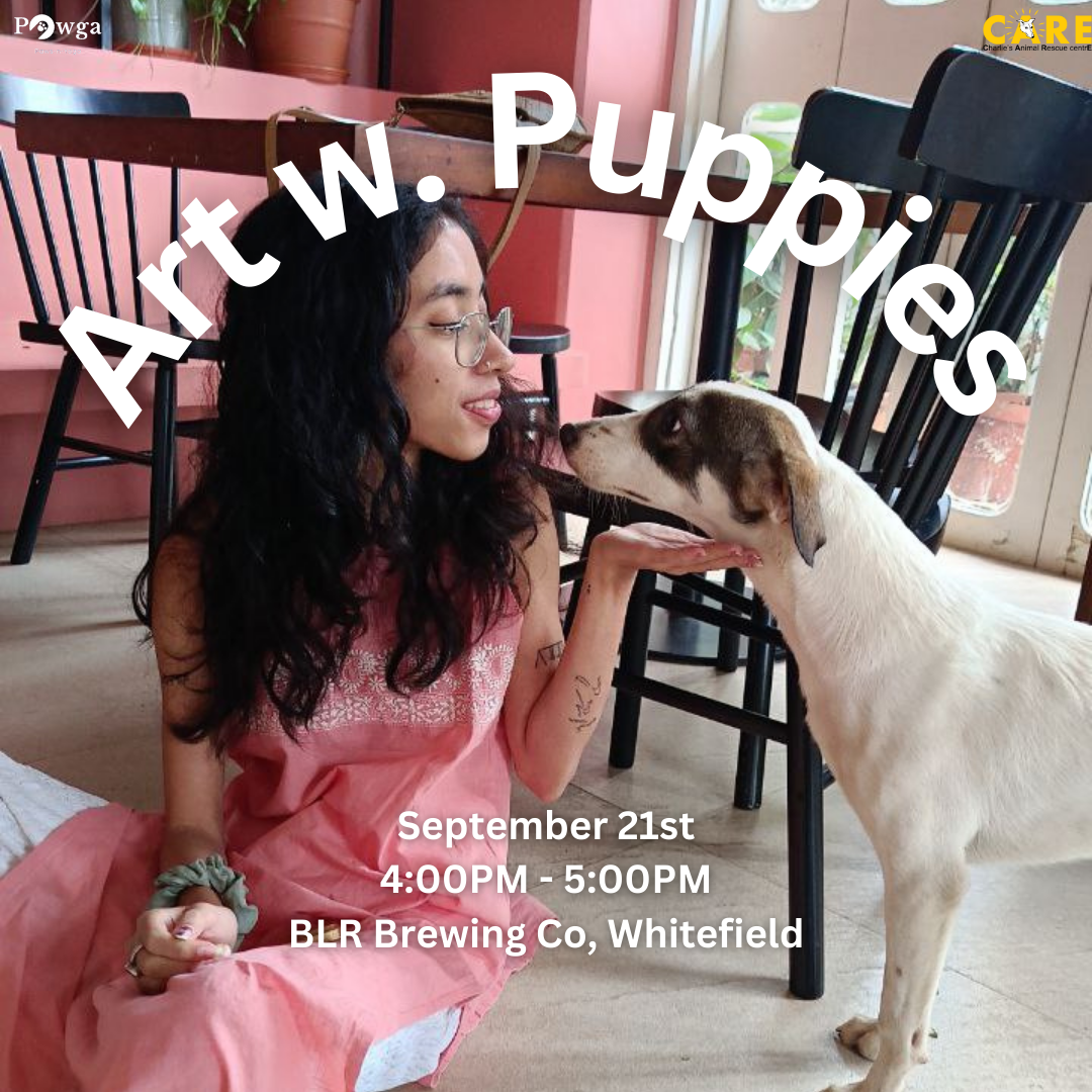 Bangalore art with puppies pawga