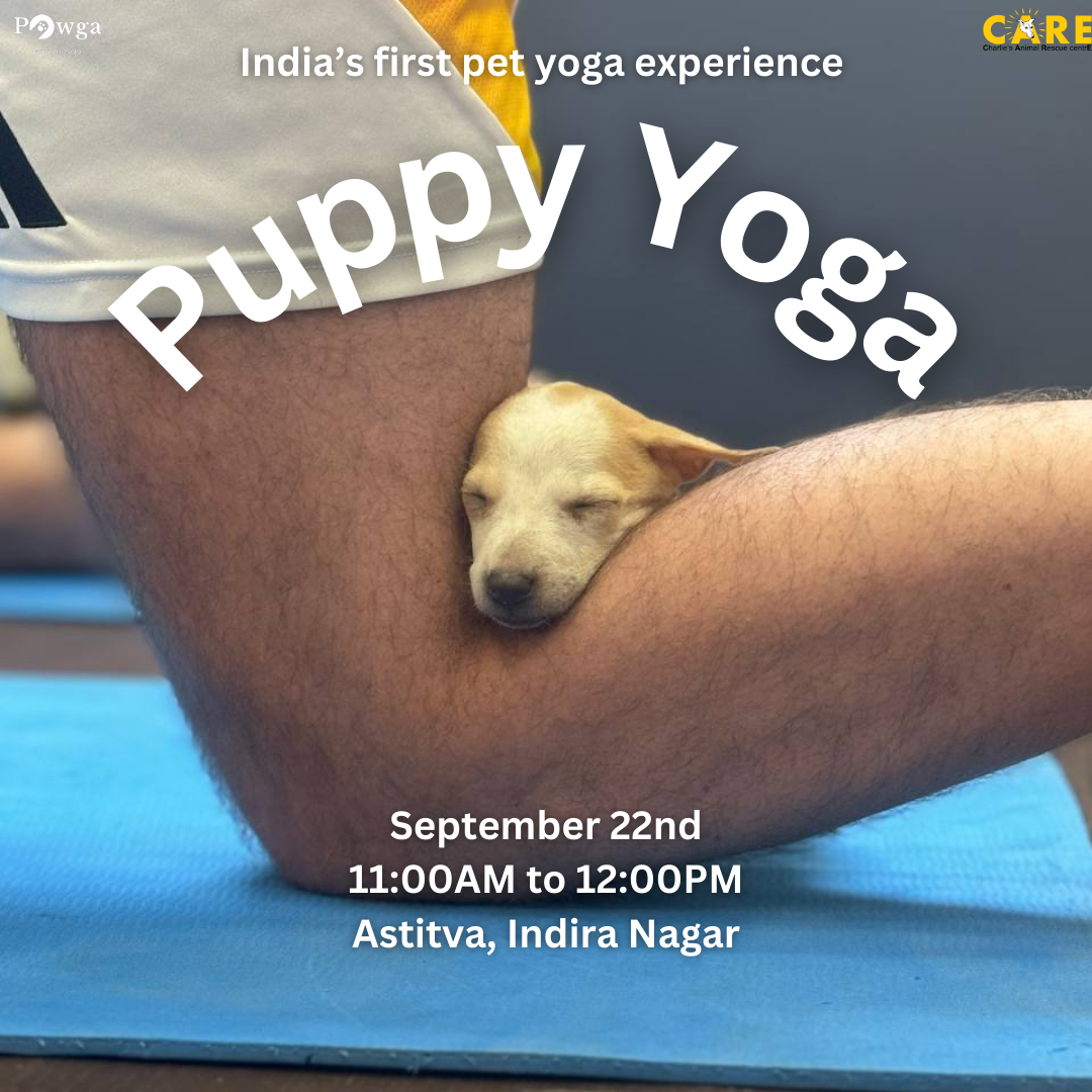 puppy yoga pawga bangalore