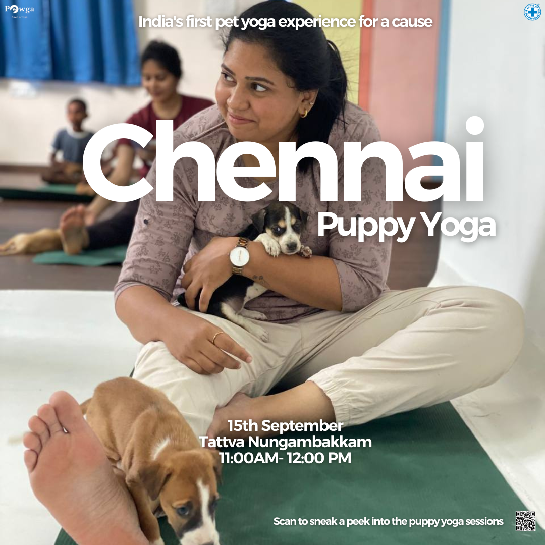 Chennai puppy yoga pawga