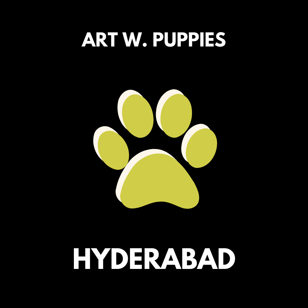 Hyderabad art with puppies pawga