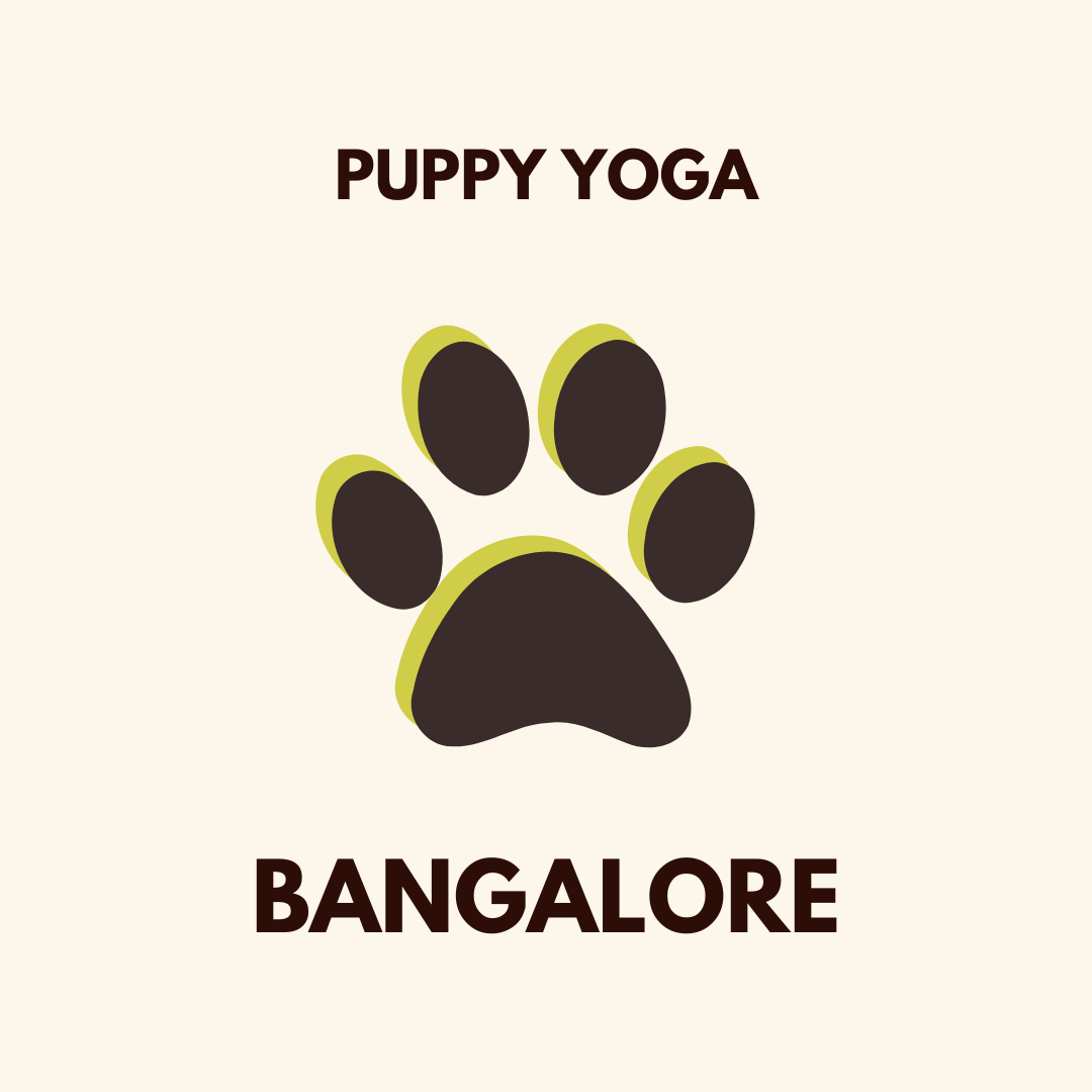 Bangalore puppy yoga pawga