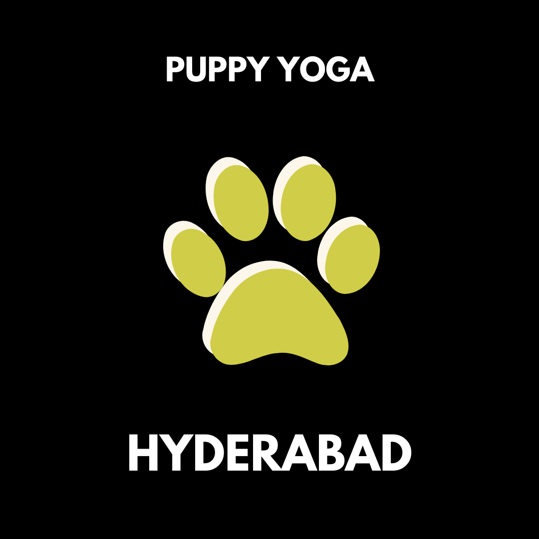 Hyderabad puppy yoga pawga