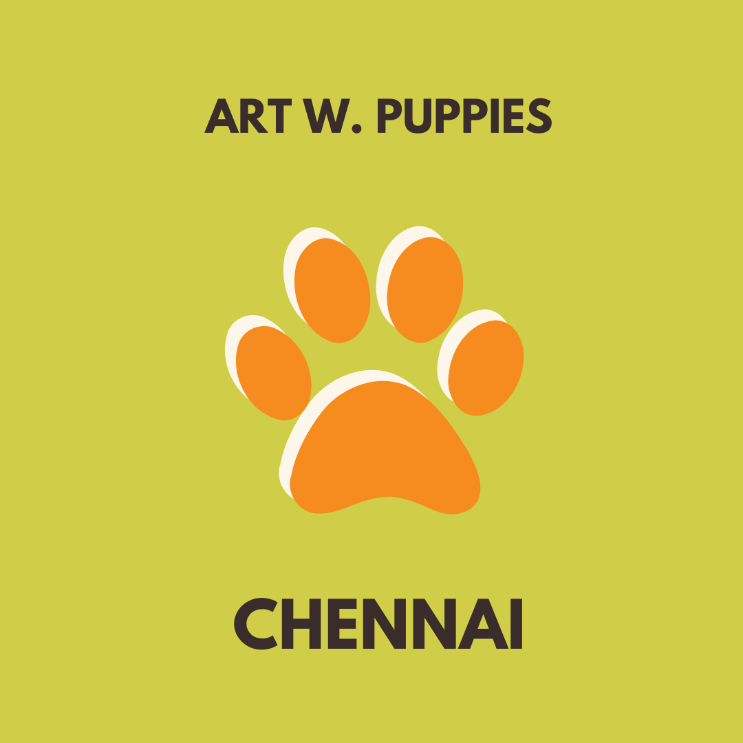 chennai art with puppies pawga