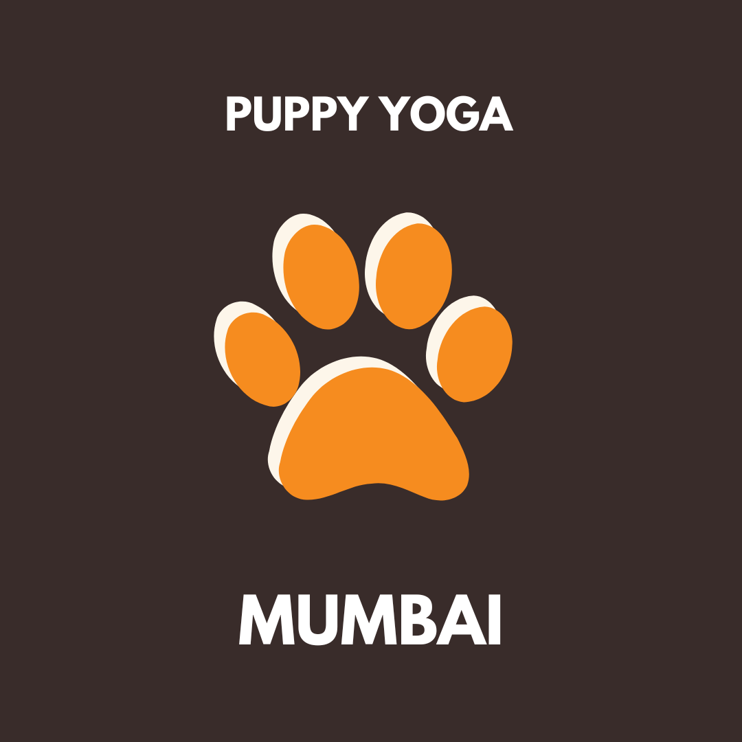 puppy yoga mumbai Pawga