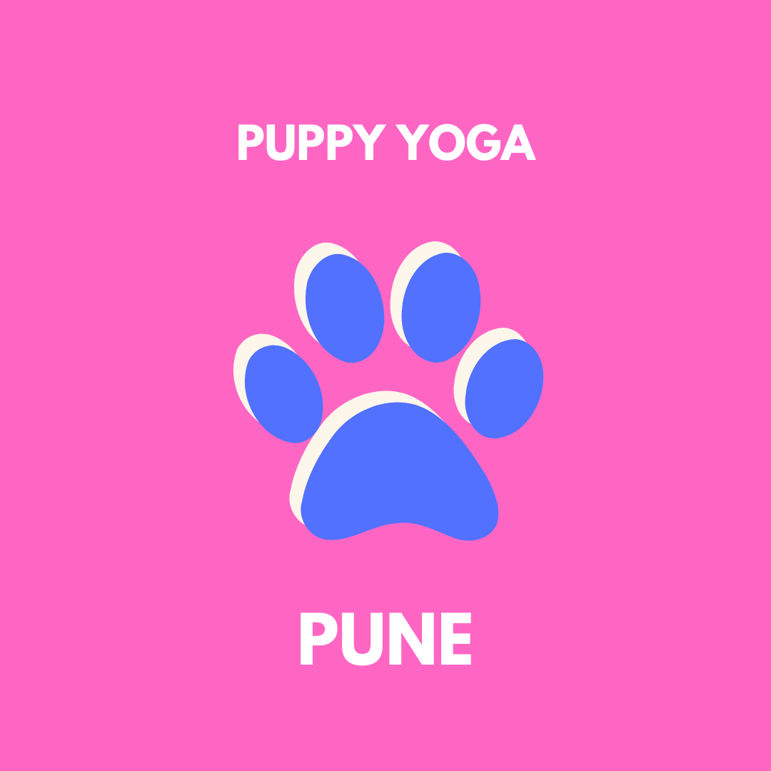 pune puppy yoga