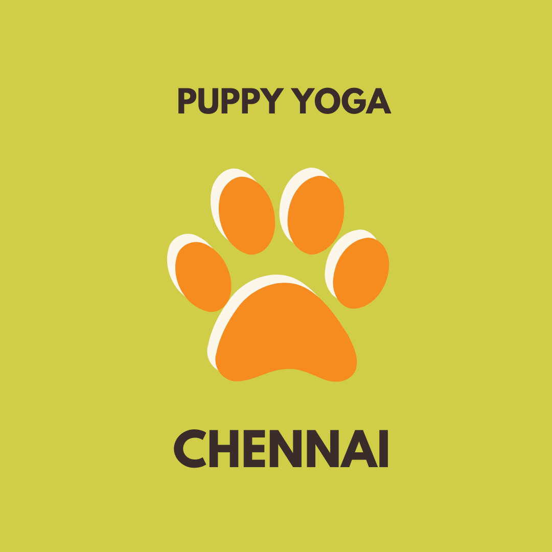 puppy yoga Pawga chennai