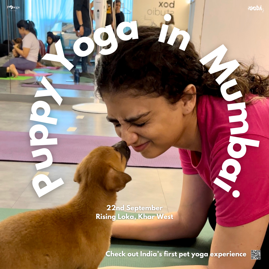 Mumbai Puppy yoga Pawga