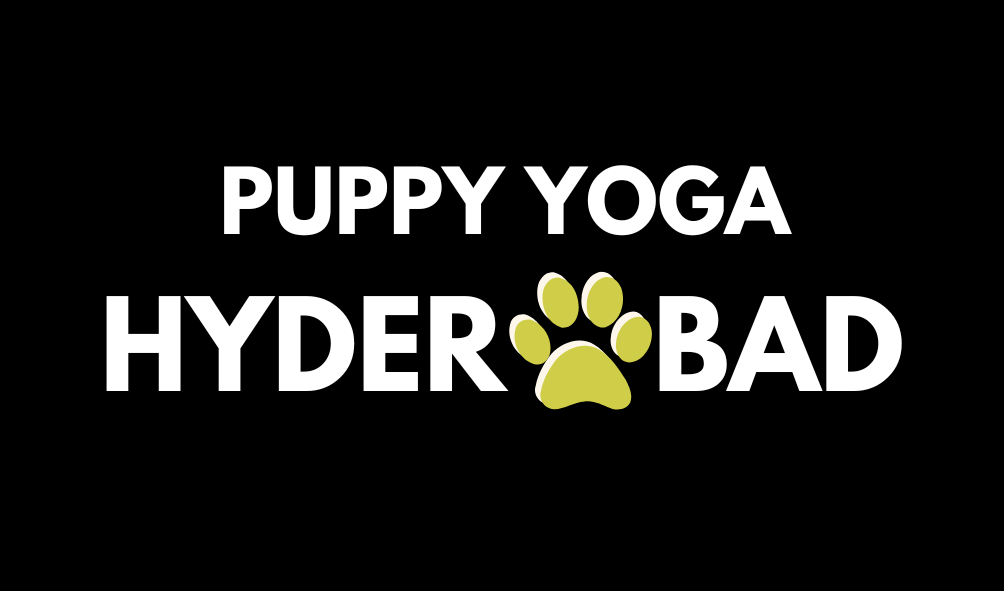 Hyderabad puppy yoga pawga