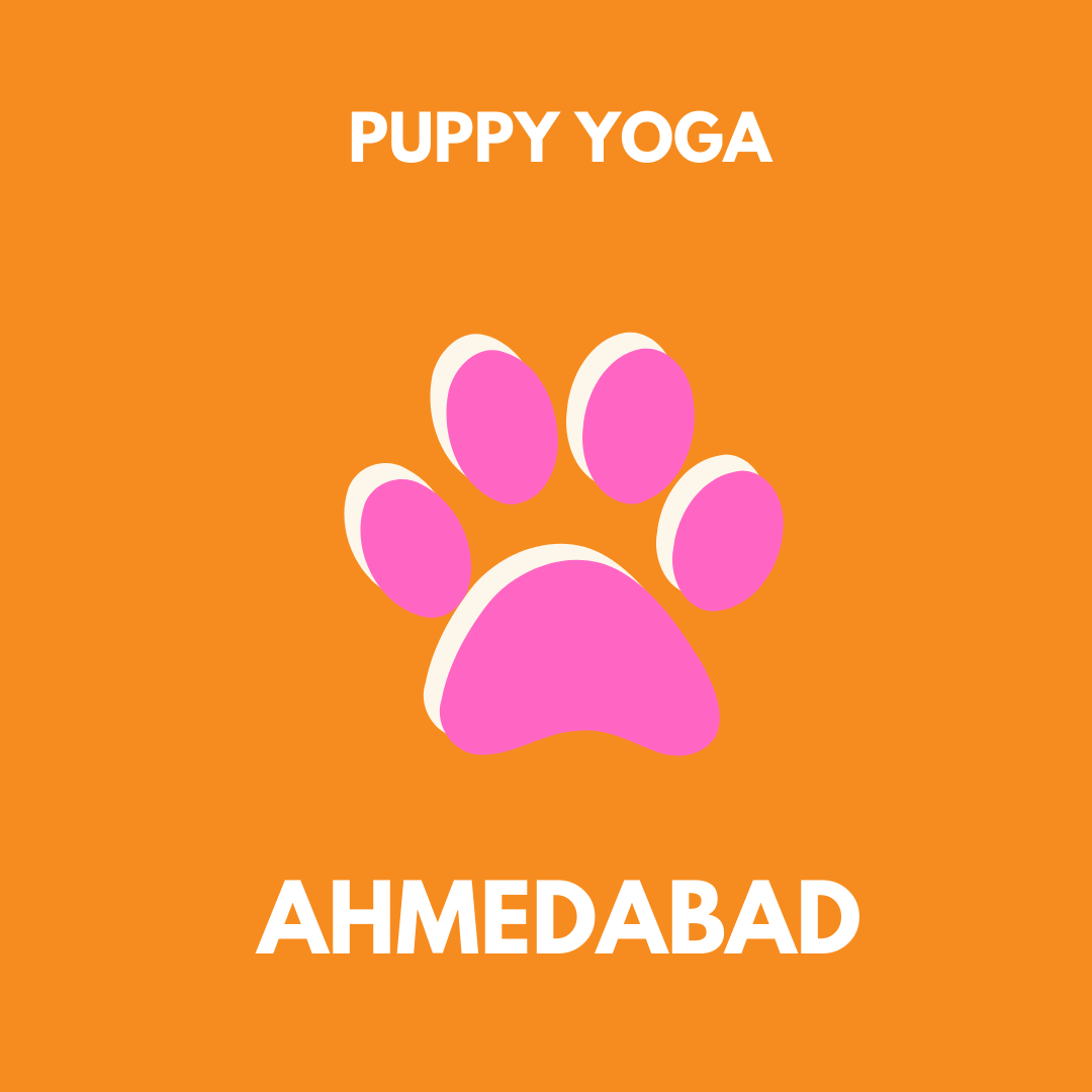 puppy yoga pawga ahmedabad